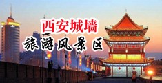 騒比无码中国陕西-西安城墙旅游风景区
